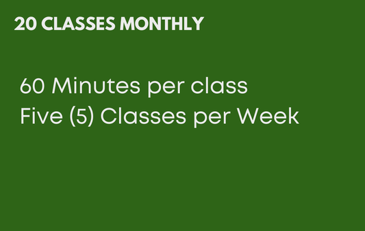20 Classes Monthly - 60 Minutes Per Class