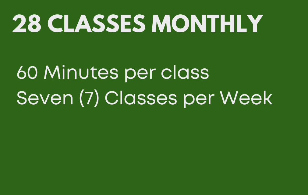 28 Classes Monthly - 60 Minutes Per Class